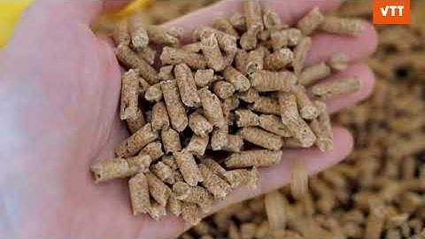 Biomass processing