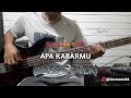 Bass COVER || APA KABARMU (FUNK PINK VONK)