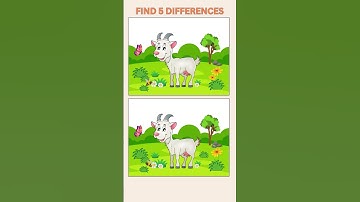 Can You Spot 5 DIFFERENCES? Find The Difference #shorts