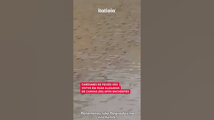 CARDUME DE PEIXES APARECE EM RUAS ALAGADAS DE CANOAS (RS)
