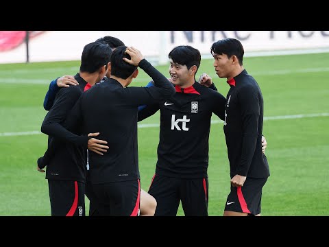 한국 축구대표팀 FIFA 랭킹 24위…2계단 상승 / 연합뉴스TV (YonhapnewsTV)