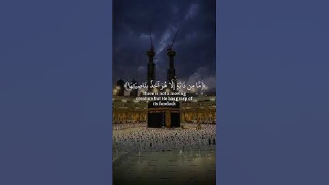 { إني توكلت على الله ربي وربكم ما من دابة إلا هو آخذ بناصيتها إن ربي على صراط مستقيم} سورة هود