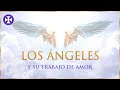 Los ángeles y su trabajo de amor | Yo Soy Espiritual
