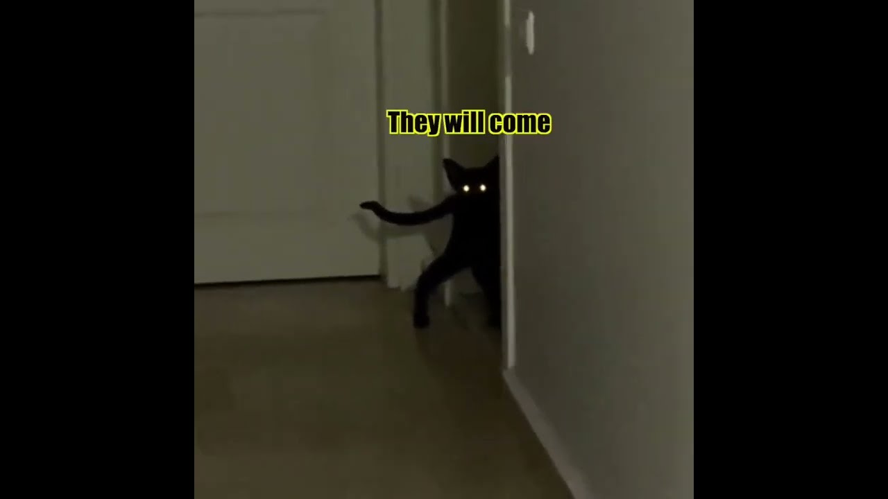 Demon Cat Pt 3