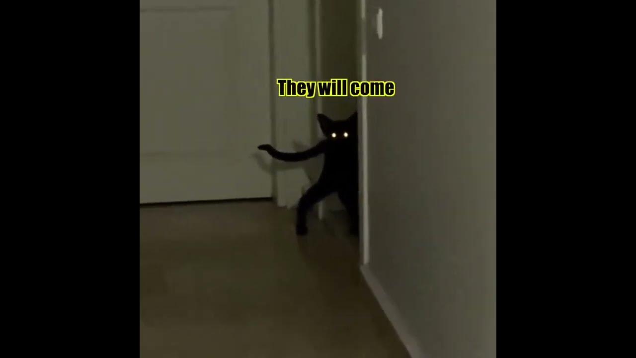 Demon Cat pt. 3