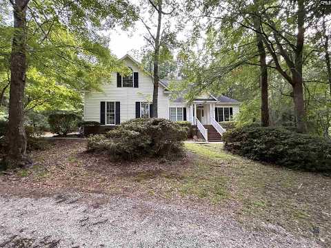 1043 Old Bush River Road, Chapin, SC home video tour