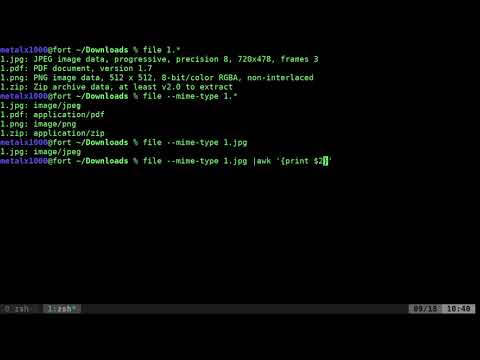 Finding File Mime Types Linux Shell Programming BASH Tutorial