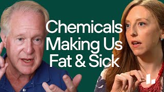 How ENVIRONMENTAL Chemicals & Obesogens Are Making Us SICK & Fat | Dr. Rob Lustig & Dr. Casey Means
