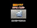 【猛毒注意】湘南で大量発生中の毒クラゲ「カツオノエボシ」を探しに行ったらヤバすぎた #shorts