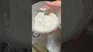 Mozzarella FAIL #shorts #diy  #experiment #mozzarella #cheese #cheesemaking #food #dairy #ricotta