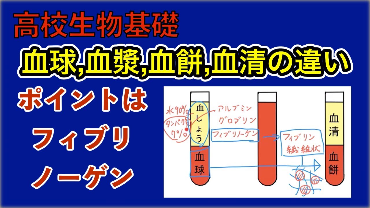 鮮血 と 潜血 の 違い