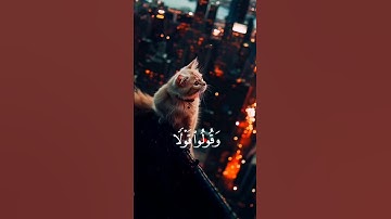 آية تهز القلب وتريح النفس اكتب شئ تؤجر عليه# #تلاوة_خاشعة #راحة_نفسية #قرآن#مشاري_العفاسي