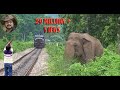 Asim Trying To Stop The #Train# To #Save# #Elephant#.
