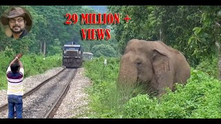 Asim Trying To Stop The #Train# To #Save# #Elephant#.