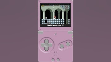 SMAGHETTI | 4-8 Iggy