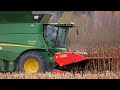 Уборка подсолнечника / John Deere S680i + Geringhoff SunLite* / МАЗ 5551 /