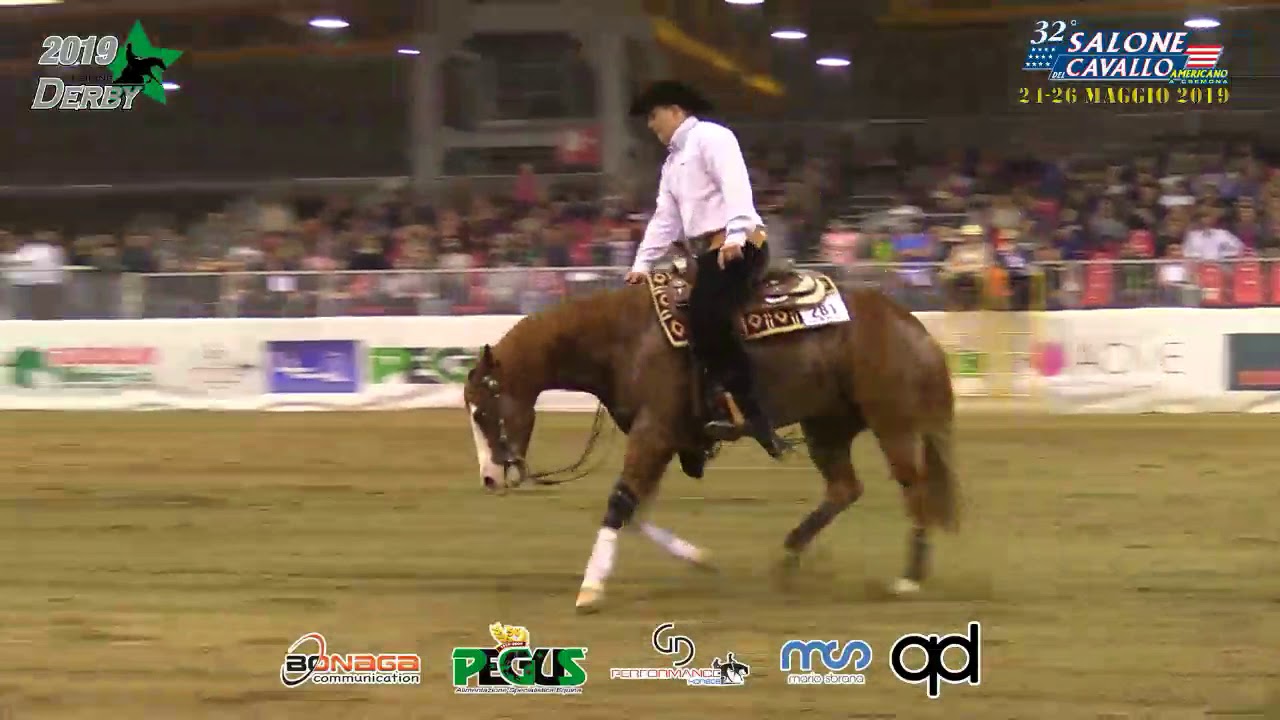 Derby 2019 - LUKASZ CZECHOWICZ & CSG MAGNIFIQUE GUN score 225