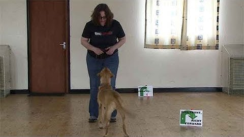 TD Rally - call front