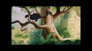 The Jungle Book Bagheera Leaves Mowgli Hd