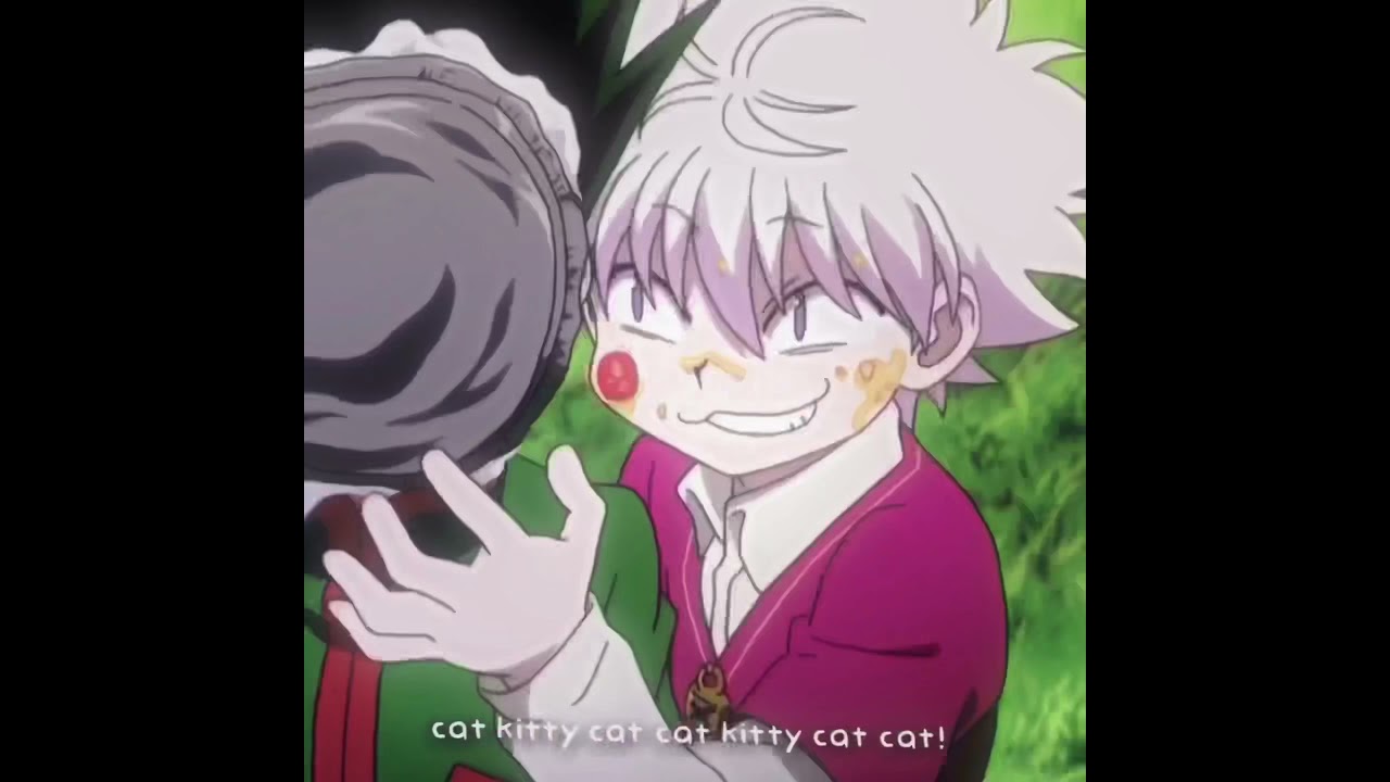 killua zoldyck edit || cat kitty cat cat kitty cat cat!