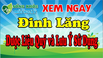 Đinh Lăng Dược Liệu Quý và Lưu Ý Sử Dụng #thaoduoc #podcast #chữabệnh