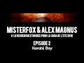 Misterfox  alex magnus  la recherche dune ide pour la saga de lt 2010  intgrale