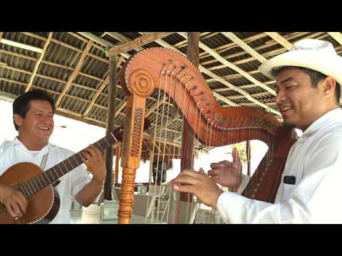 Video: Calamares Jarochos