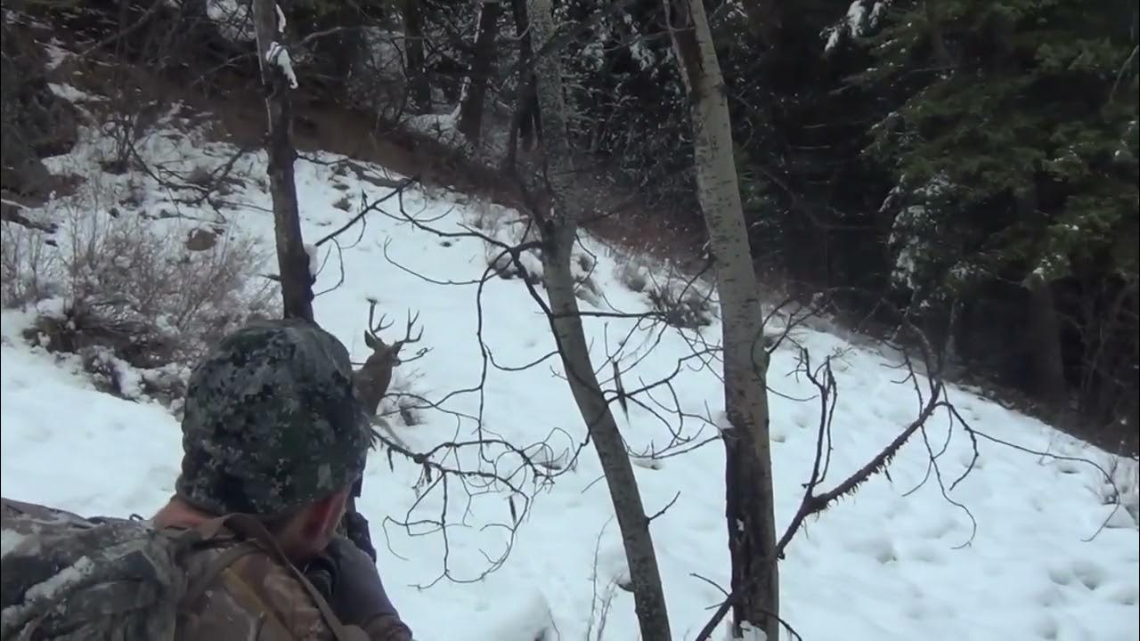 Лучший выстрел снайпера. Охота на блоховозов с пневматикой. выстрел 30 0 6 по зверю видео.