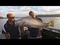 IFISH Monster Mulloway