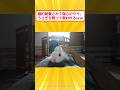 ワイ、うさぎと暮らし始めて毎日が幸せになるww #2ch面白いスレ