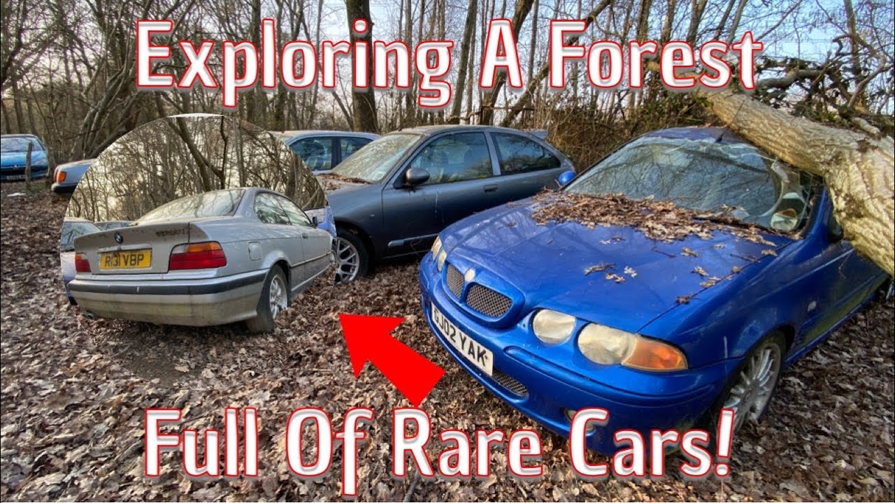 ⁣Exploring Classic Cars With The Guys From Car Throttle! An Incredible Collection Hidden In A Forest!