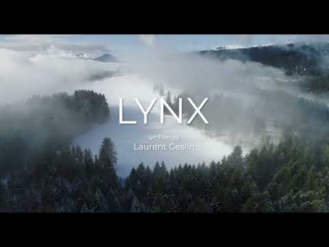 Lynx