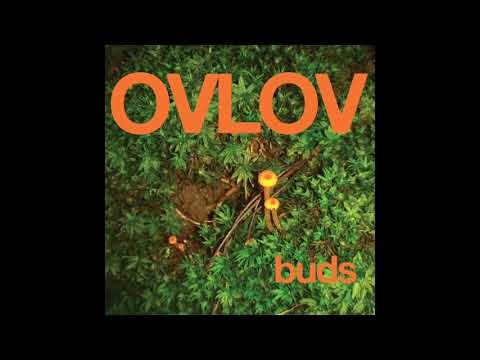 Ovlov - "Land of Steve-O"