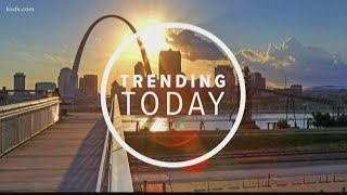 Shildt, Mozeliak and Girsch continue to fly