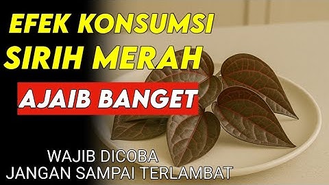 13 Manfaat LUAR BIASA Sirih Merah Bagi Lansia