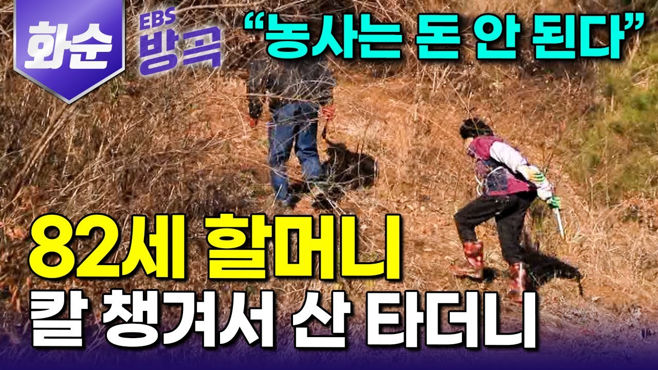 [전남 화순] 