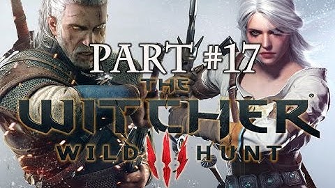 Lets Play The Witcher 3: Wild Hunt Part 17 - Magic Lamp & Towerful Of Mice
