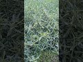 சவால்களை பயிற்றுவிப்போமாக