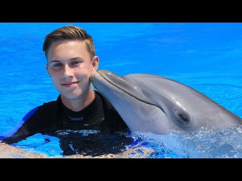 Video: New Zealand Forbyr Svømming Med Delfiner