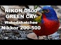 Nikkor 200mm-500mm - Low Light Performance - Green Cay & Wakodahatchee Wetlands