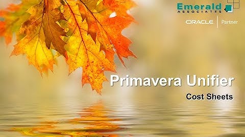 Creating Cost Sheets in Primavera Unifier - 2025-10-21