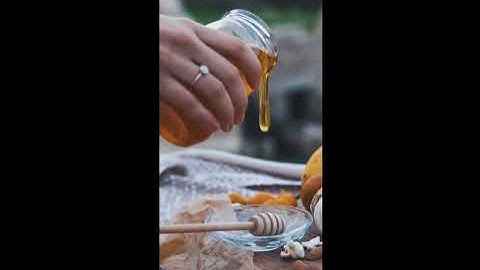 Indigenous Ways of Knowing Bees (WFB 3990 Video Project)