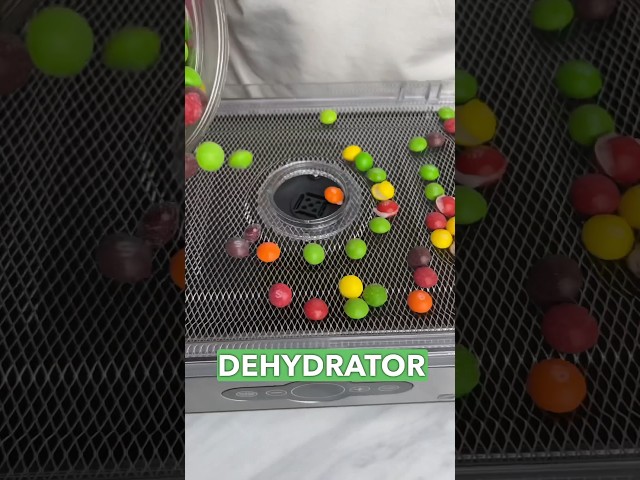 $100 Dehydrator vs. $4,000!Freeze Drier 🥶🫣 #freezedried #dehydrator #freezedriedcandy class=