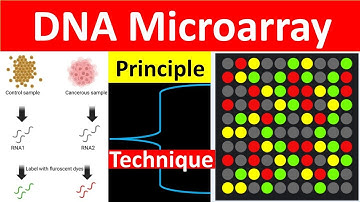 DNA Microarray Technique| DNA CHIP | Microarray | Microarray Principle |