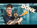 Köpek İsteyenler Bu Videoyu İzlemeli!