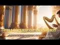 Prophetic Harp Warfare Worship Instrumental/FELLOWSHIP OF THE HOLY SPIRIT/Background Prayer Music