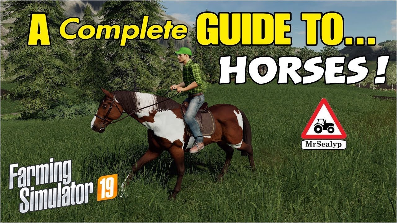 Farming simulator 19 Horse feed How to feed in Horse fs19 fs19 horse