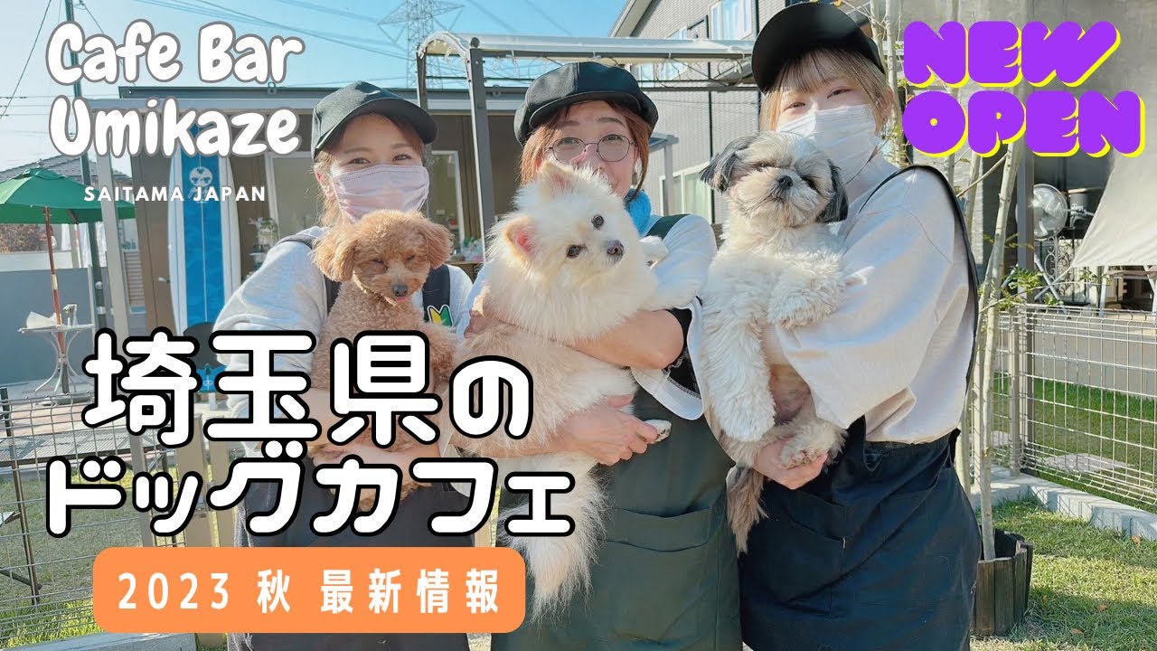 【必見】2023最新   埼玉県のドッグラン併設カフェ