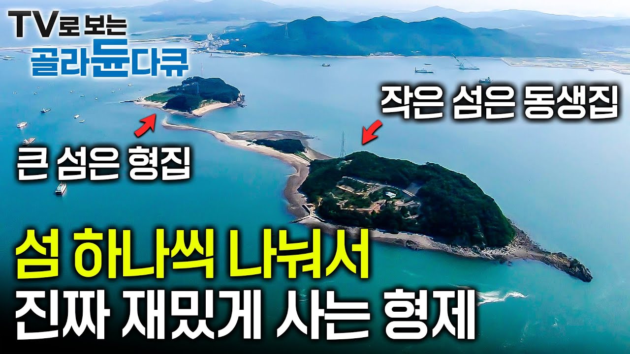 ✨여름 맞이 한국기행 모음집 ☀️ 무더운 여름 도시를 떠나 산과 바다로 향한 사람들│물 오른 여름 모음│한국기행│#골라듄다큐