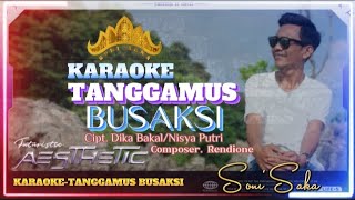 KARAOKE - TANGGAMUS BUSAKSI - Soni Saka ( Music & Video)